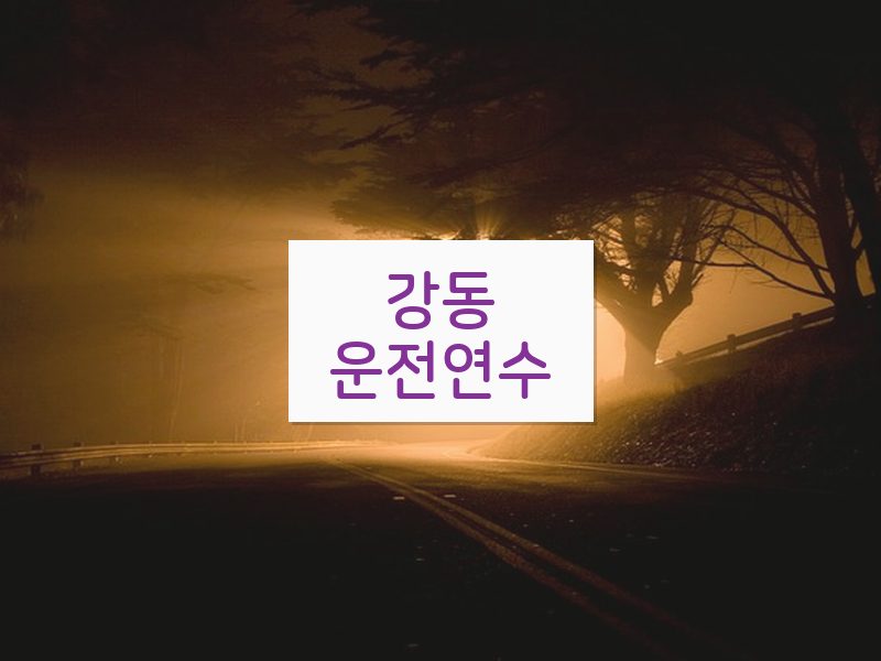 강동운전연수 후기