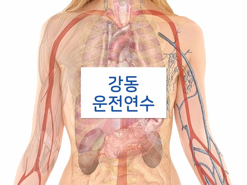 강동운전연수 후기