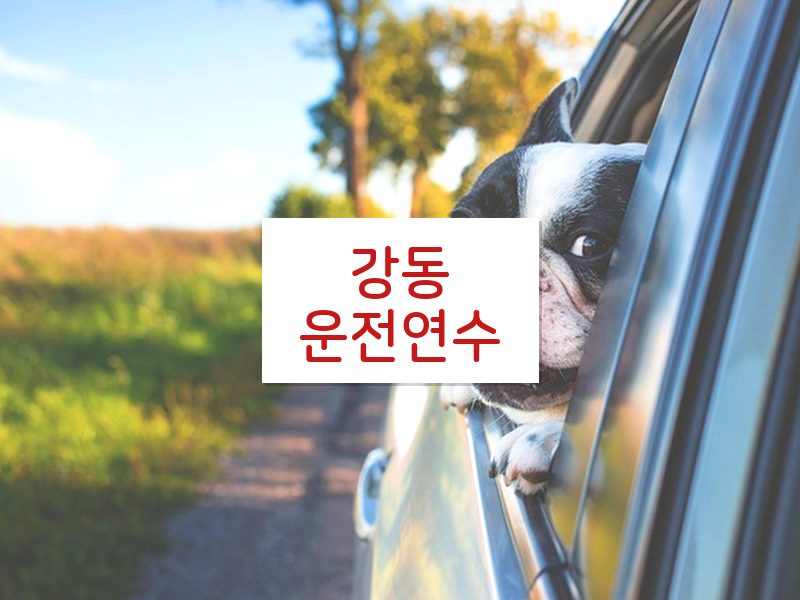 강동운전연수 후기