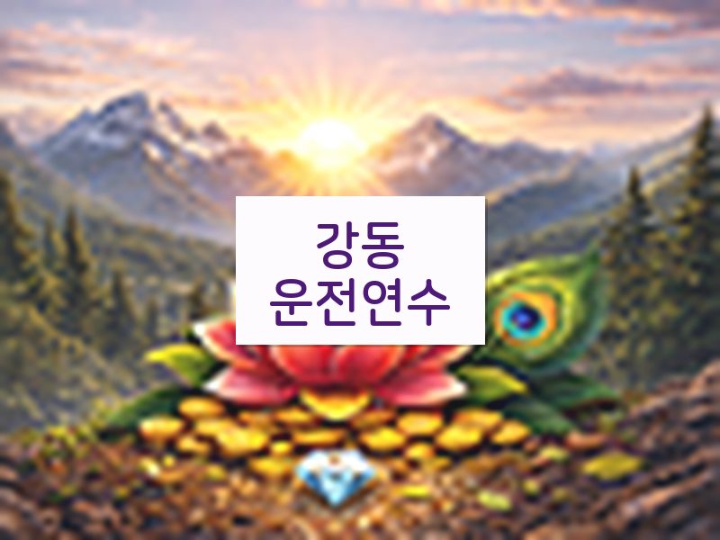 강동운전연수 후기