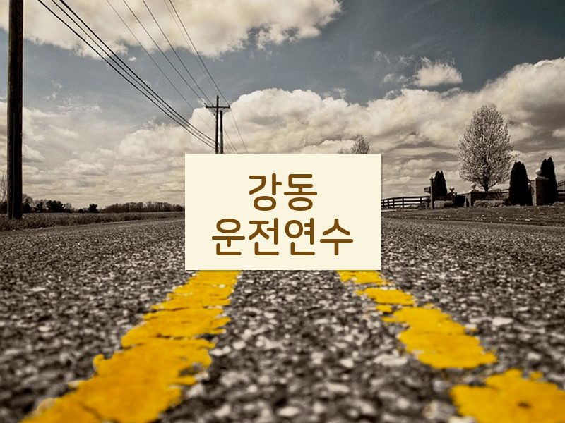 강동운전연수 후기