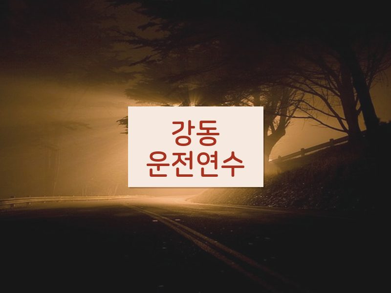 강동운전연수 후기