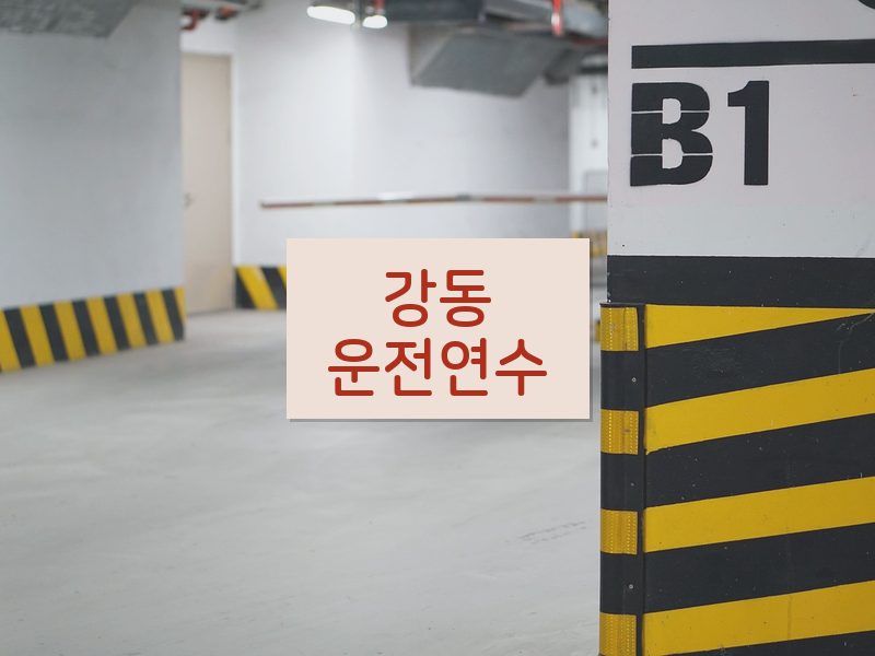 강동운전연수 후기