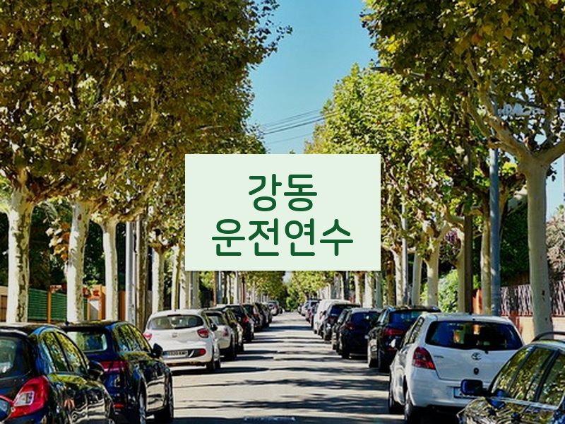 강동운전연수 후기