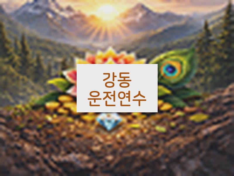 강동운전연수 후기