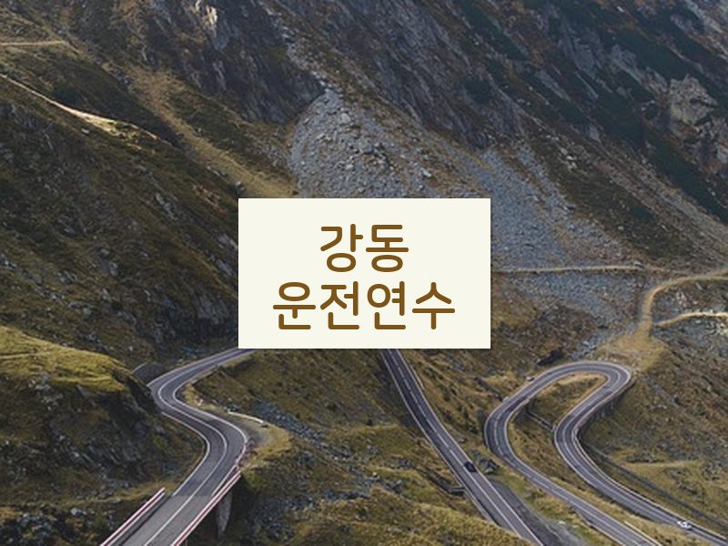 강동운전연수 후기