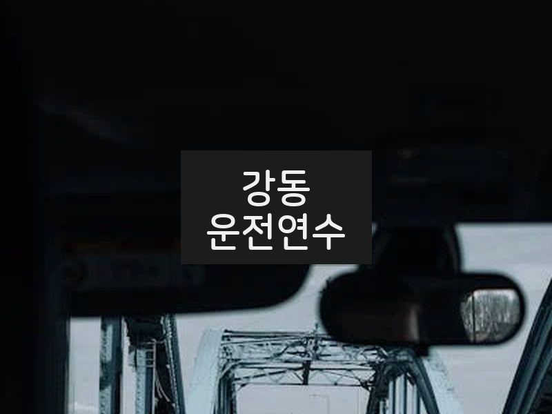 강동운전연수 후기