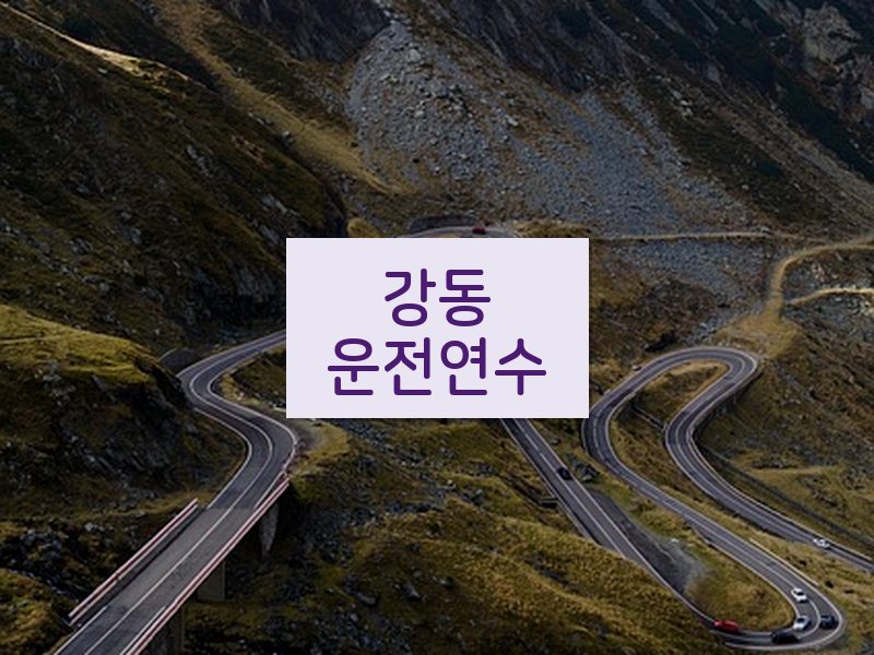 강동운전연수 후기