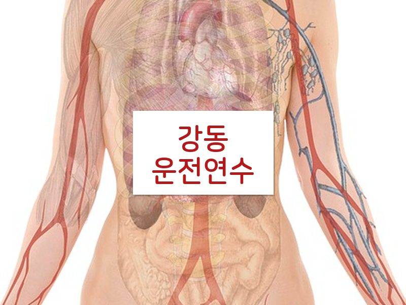 강동운전연수 후기