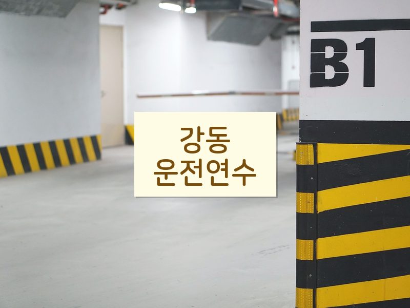강동운전연수 후기