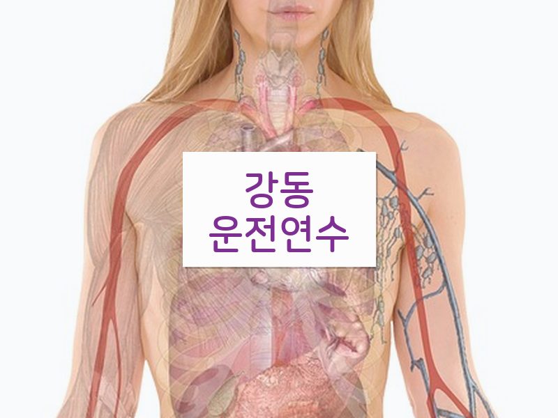 강동운전연수 후기