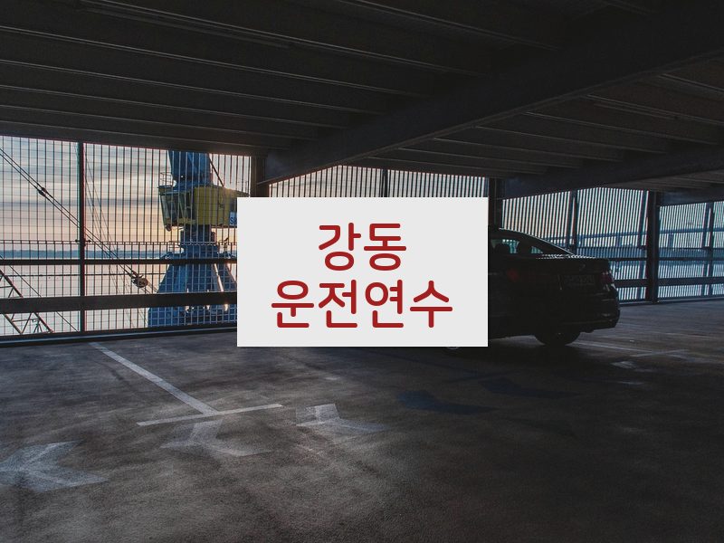 강동운전연수 후기