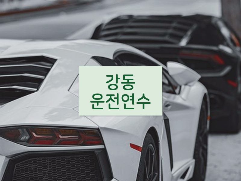 강동운전연수 후기