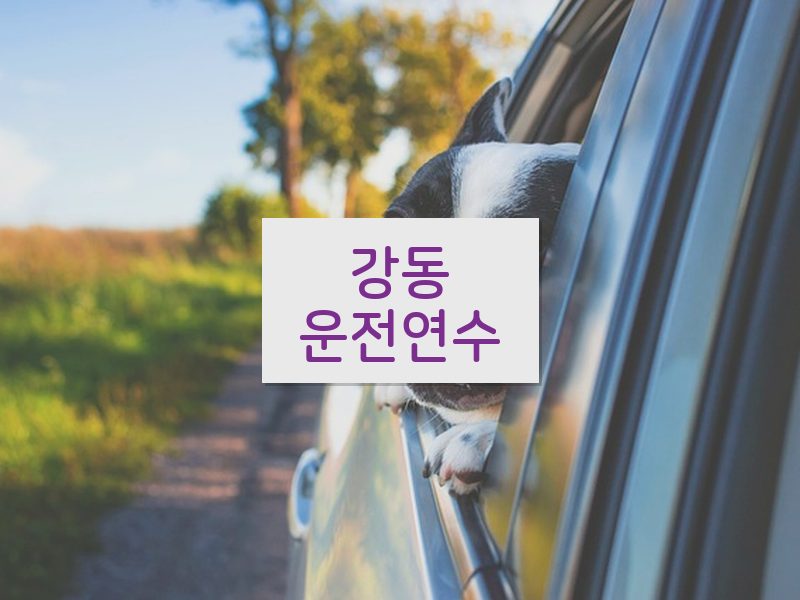 강동운전연수 후기