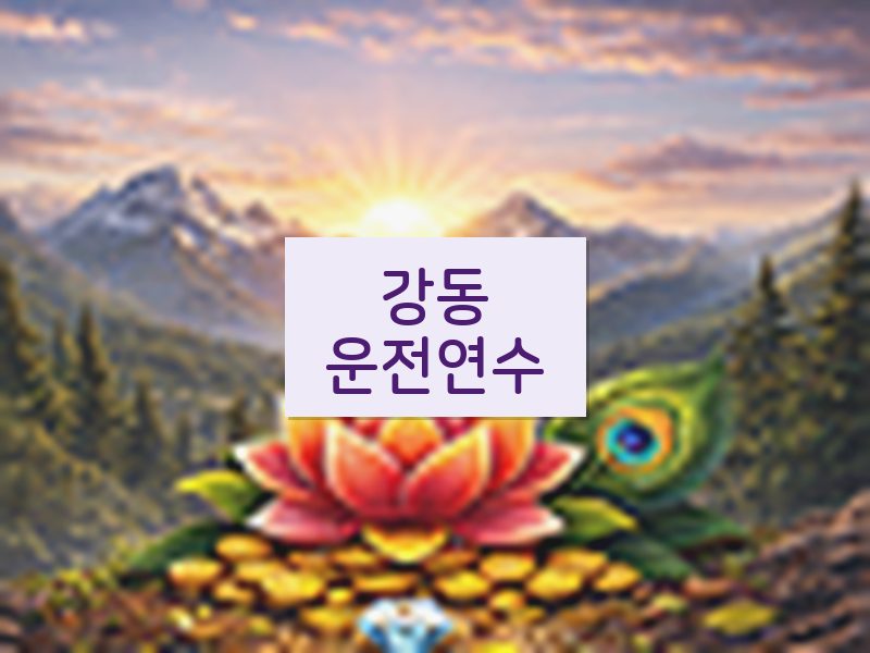 강동운전연수 후기