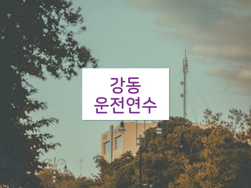 강동운전연수 후기