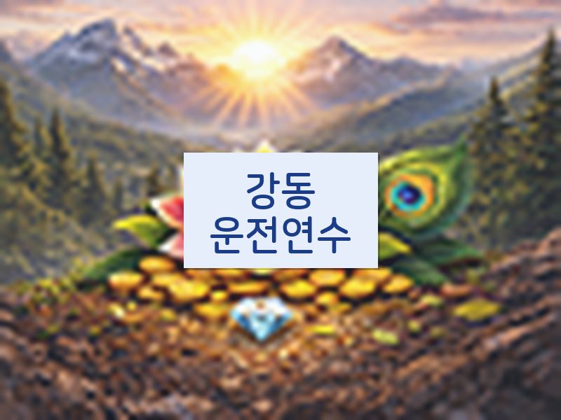 강동운전연수 후기