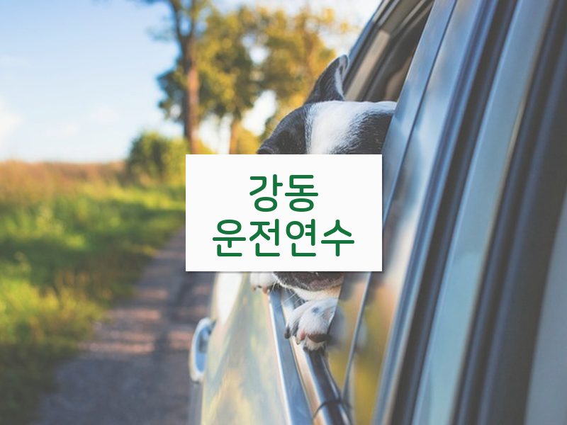 강동운전연수 후기