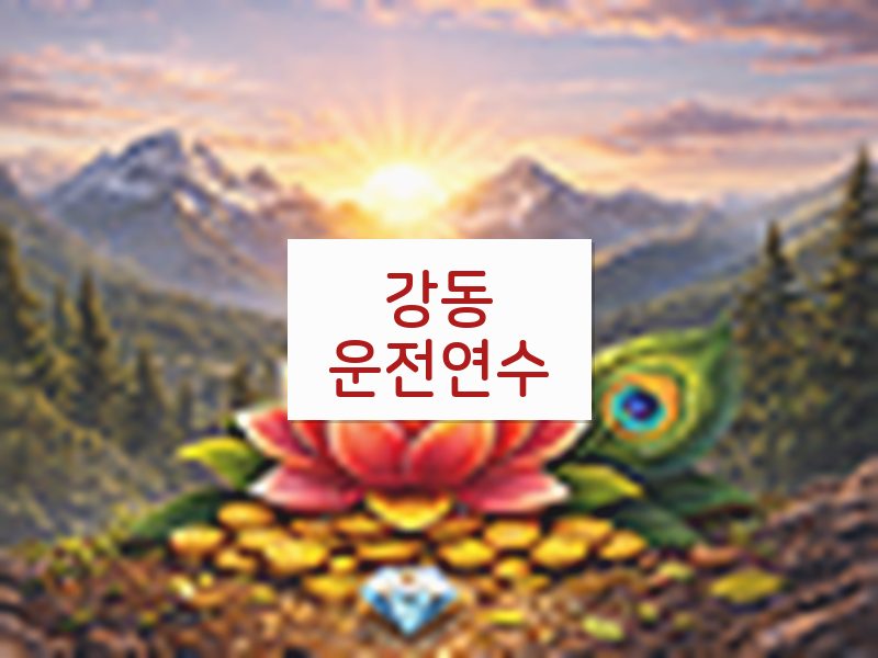강동운전연수 후기