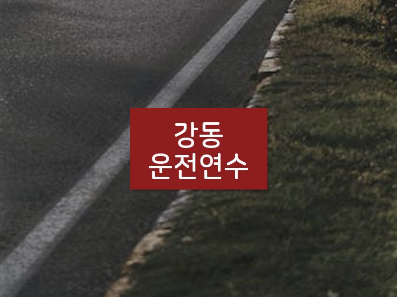 강동운전연수 후기