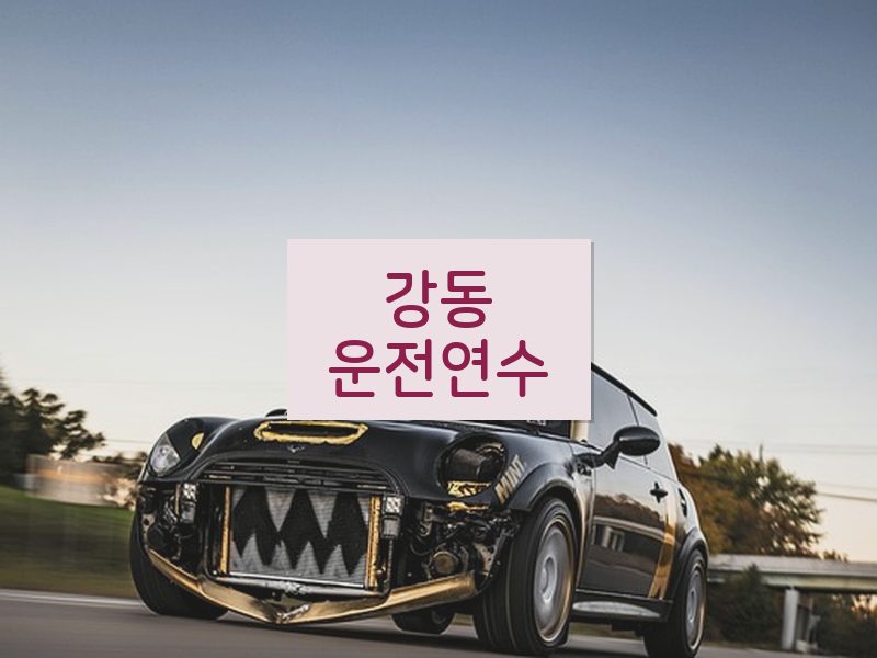 강동운전연수 후기