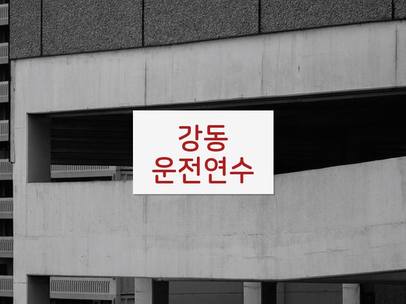 강동운전연수 후기