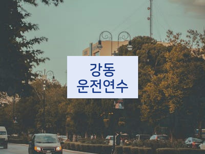 강동운전연수 후기