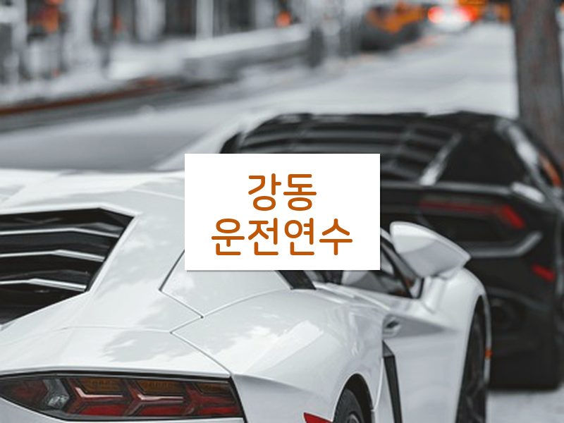 강동운전연수 후기