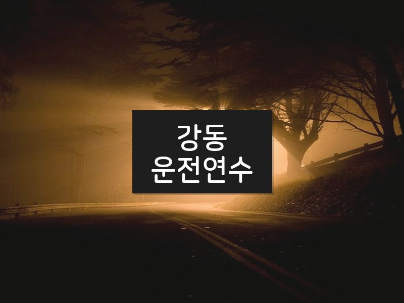 강동운전연수 후기