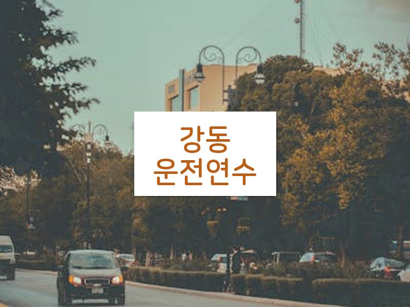 강동운전연수 후기