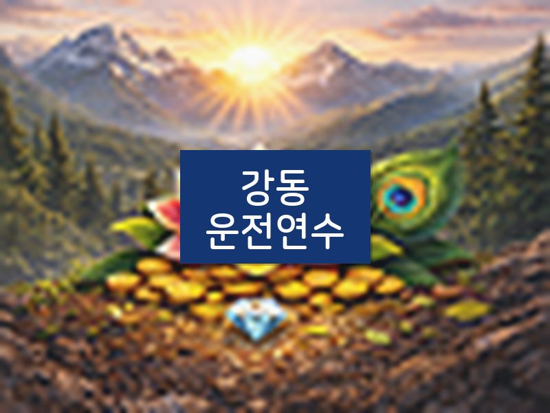 강동운전연수 후기