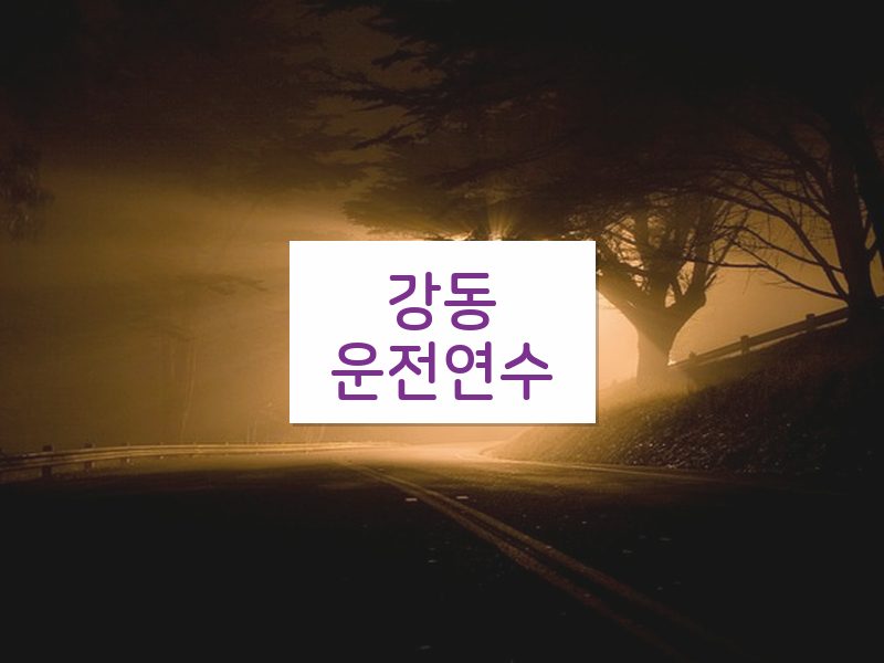 강동운전연수 후기
