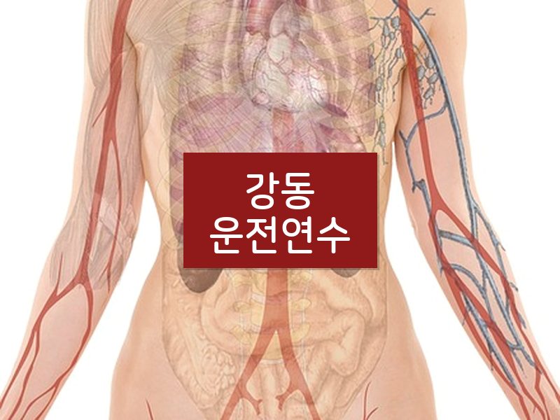 강동운전연수 후기