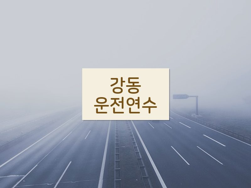 강동운전연수 후기
