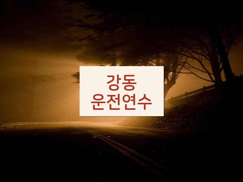 강동운전연수 후기