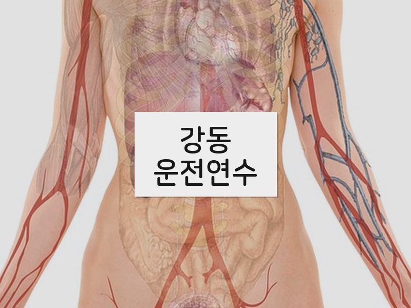 강동운전연수 후기