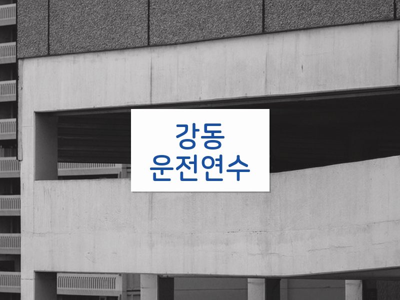 강동운전연수 후기