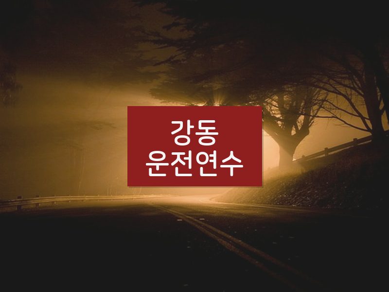 강동운전연수 후기