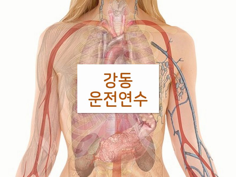 강동운전연수 후기