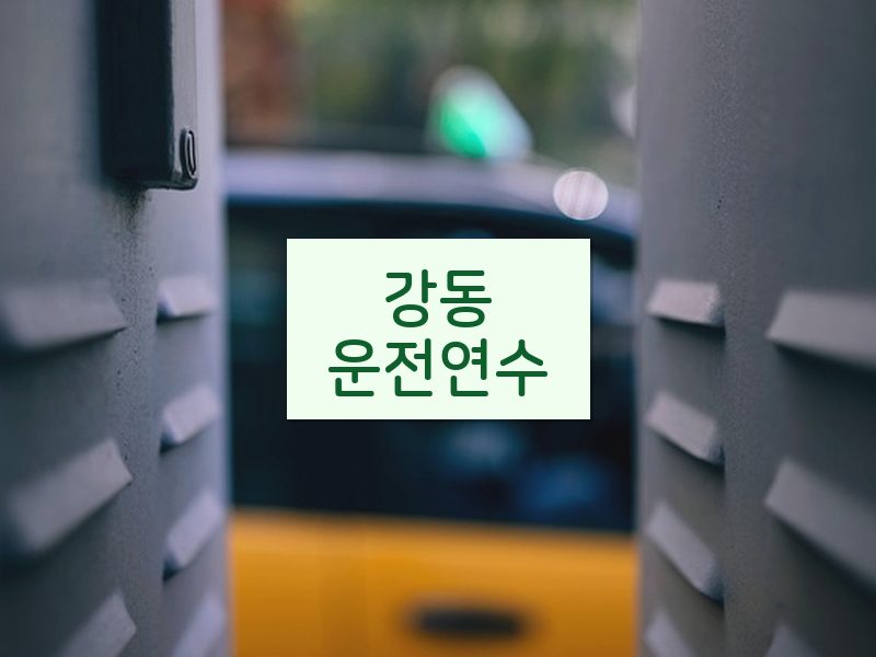 강동운전연수 후기