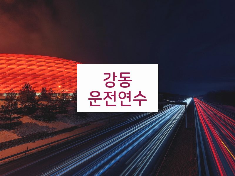 강동운전연수 후기