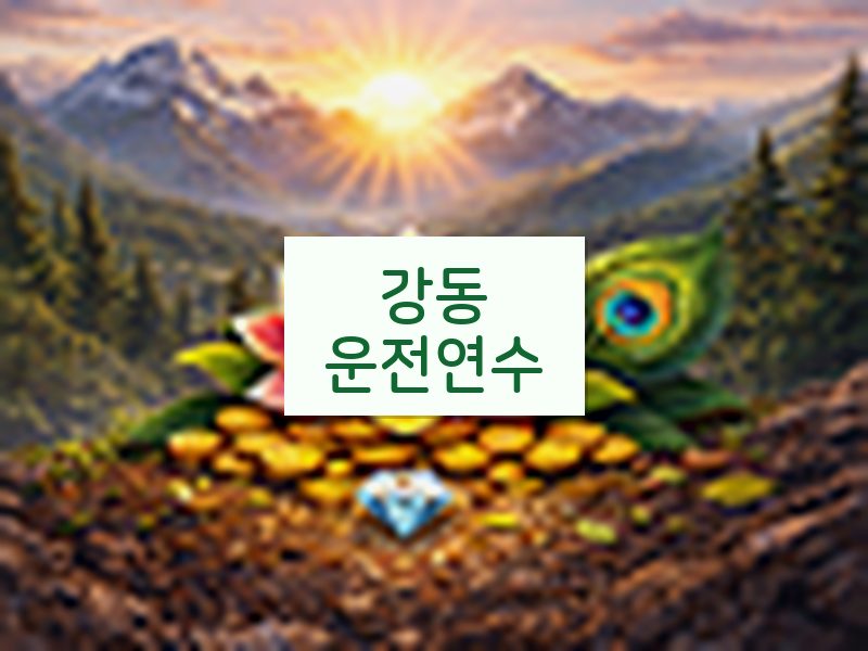 강동운전연수 후기