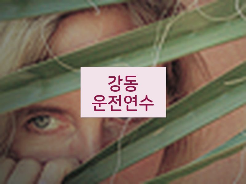 강동운전연수 후기