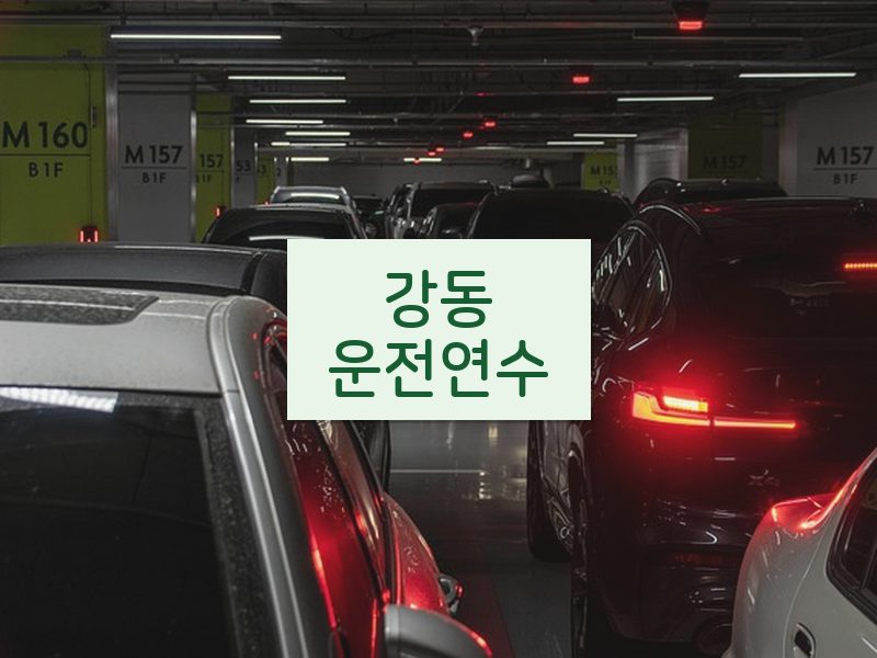 강동운전연수 후기