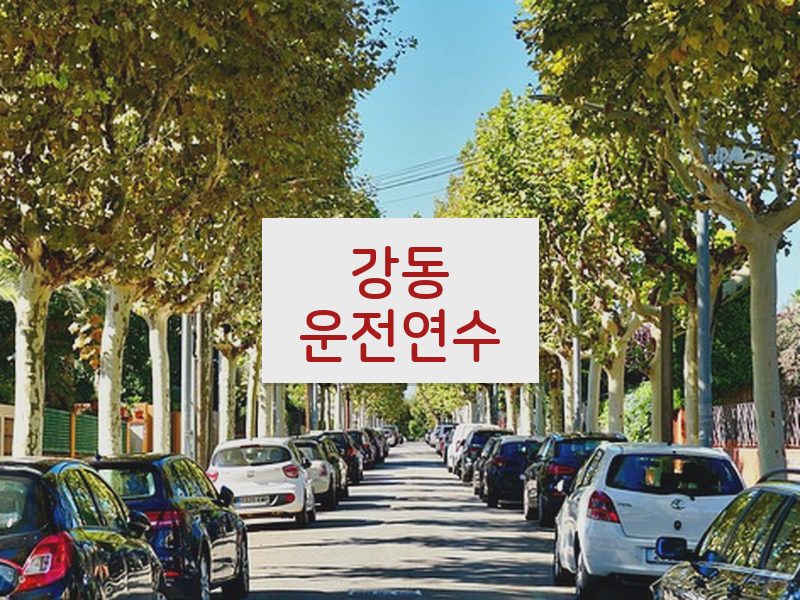 강동운전연수 후기