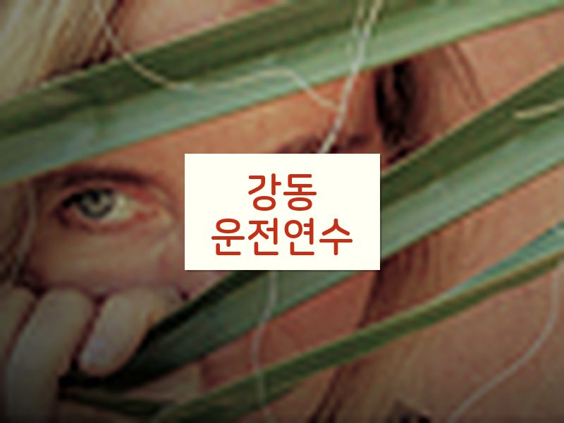 강동운전연수 후기