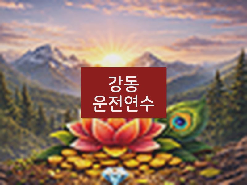 강동운전연수 후기