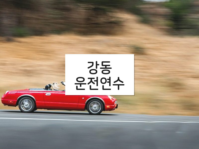 강동운전연수 후기