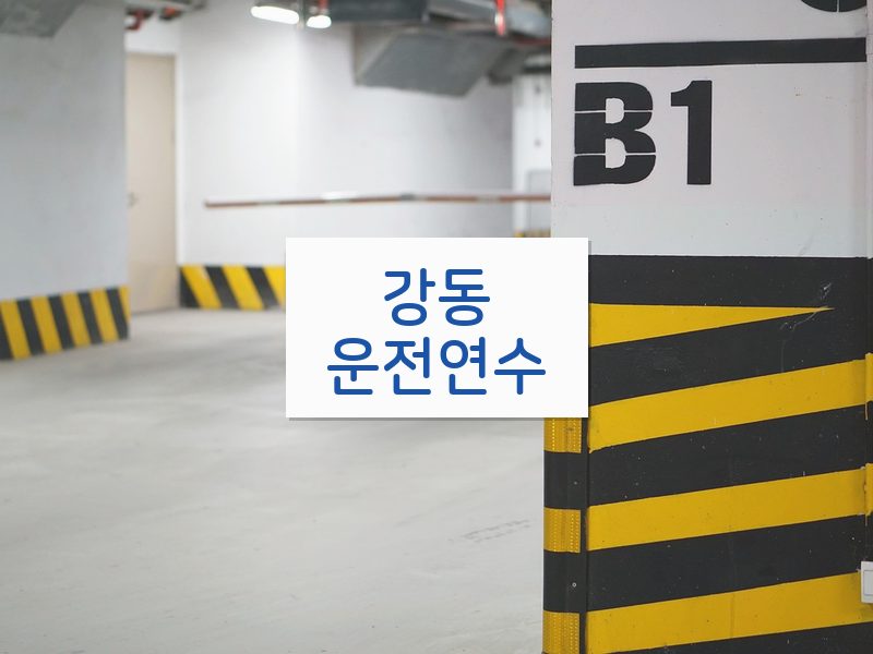 강동운전연수 후기