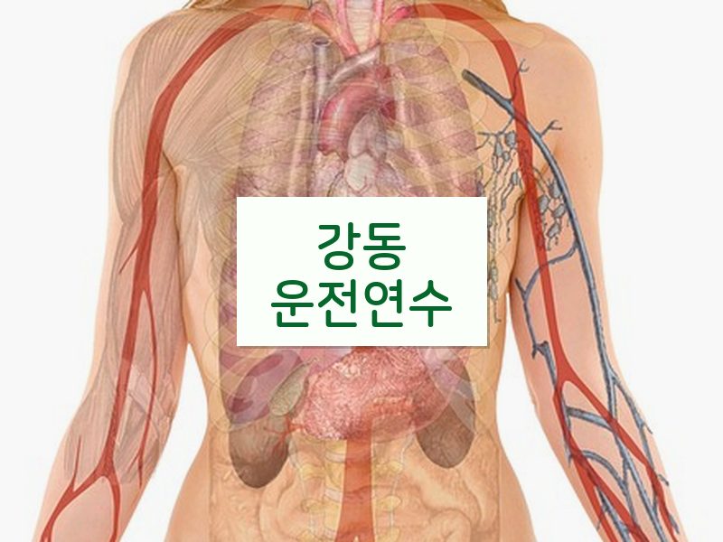 강동운전연수 후기